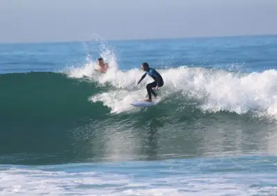 California Surf
